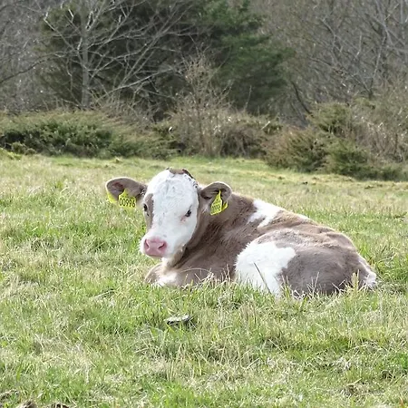 Slettegaard 아파트